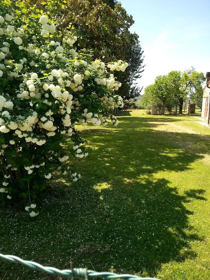 فندق مبيت وإفطار Pomposa Art B&B Gli Aironi